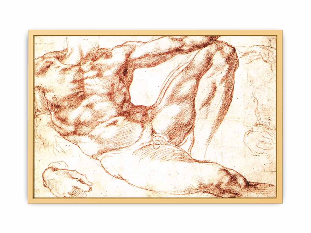 Study for Adam c. 1510