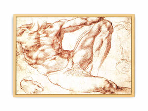 Study for Adam c. 1510