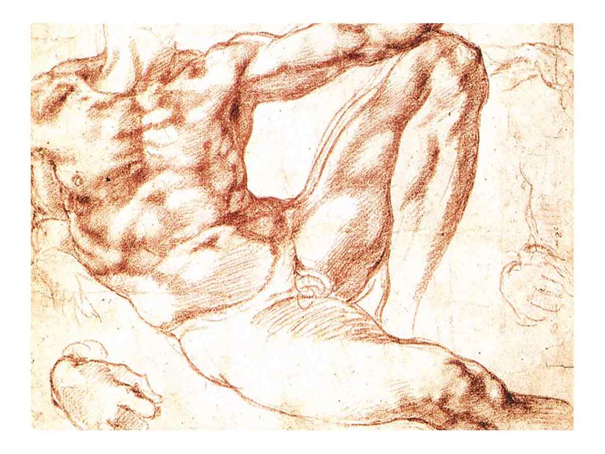 Study for Adam By Michelangelo Buonarroti
