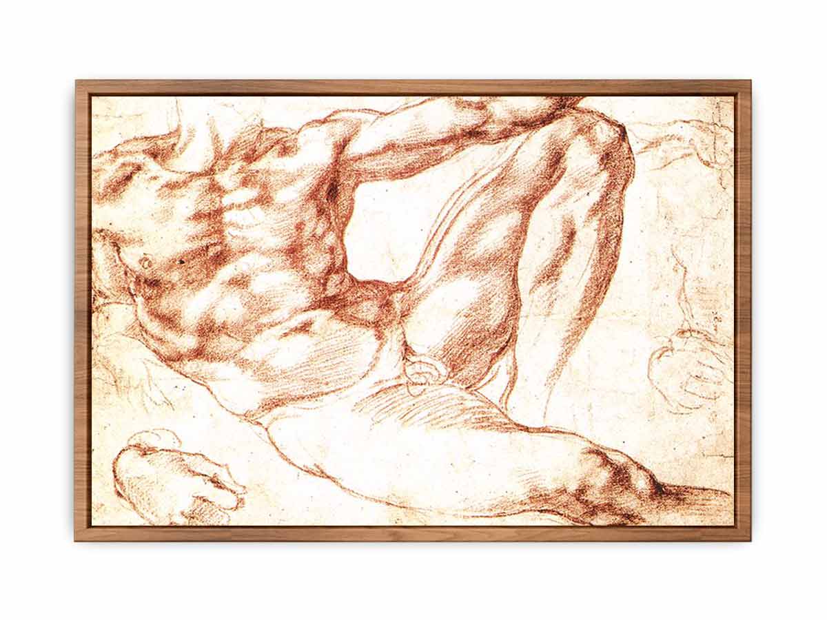 Study for Adam By Michelangelo Buonarroti