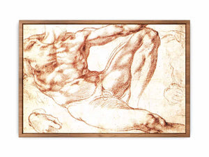 Study for Adam By Michelangelo Buonarroti