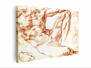 Study for Adam By Michelangelo Buonarroti