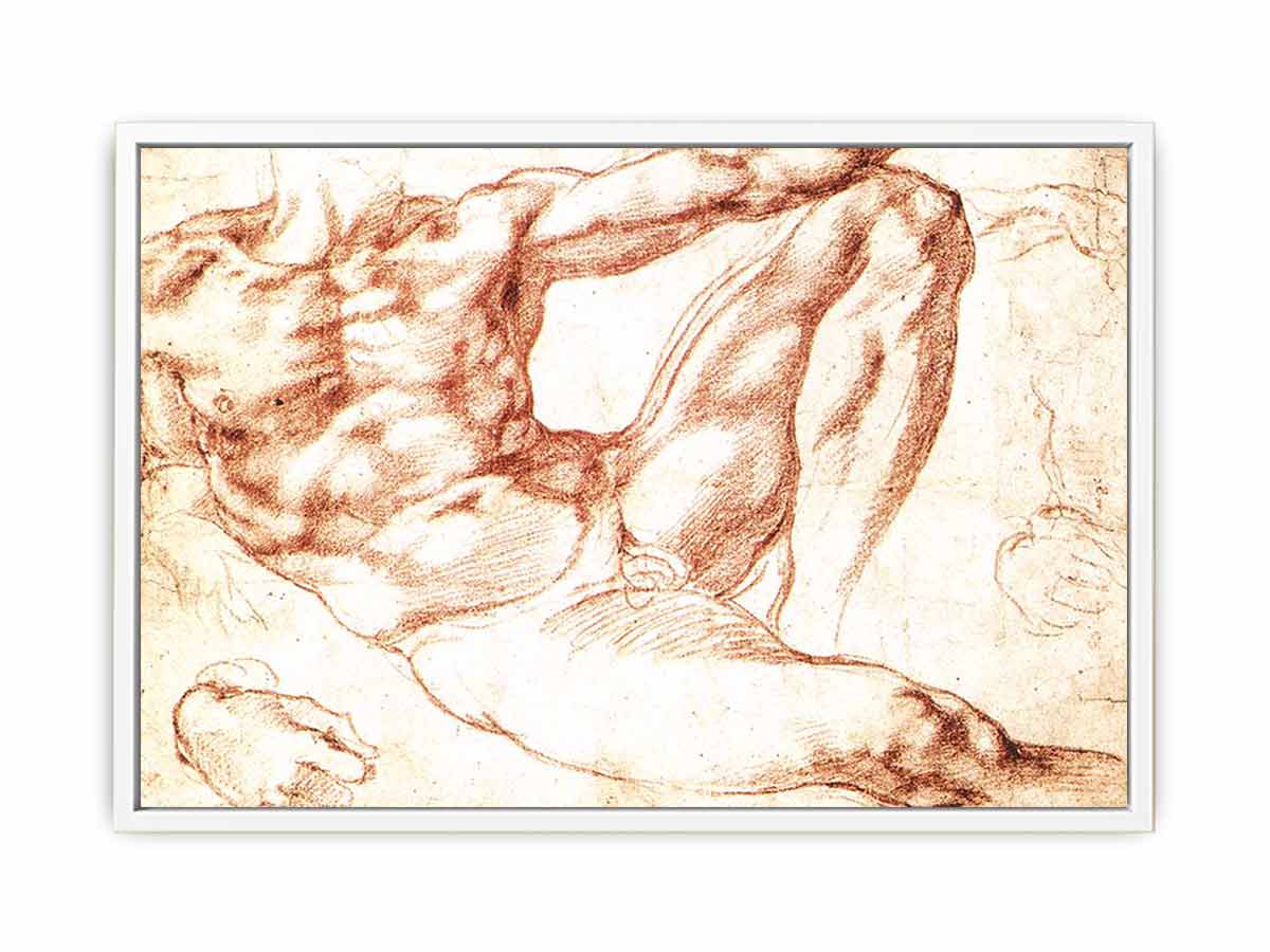 Study for Adam By Michelangelo Buonarroti