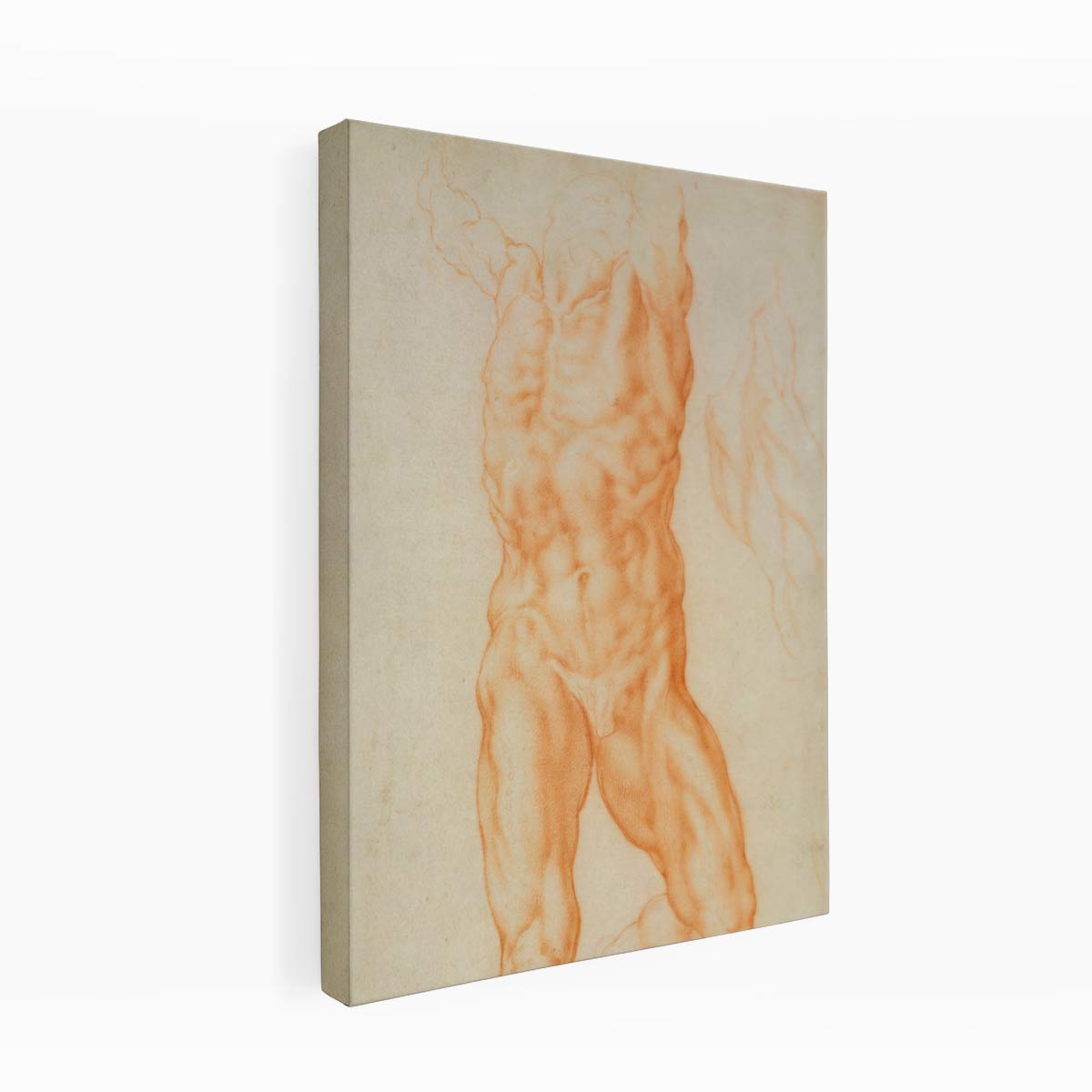 Recto The figure of Haman and three studies of detail c. 1600 By Michelangelo Buonarroti