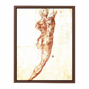 Study for a Nude 1504
