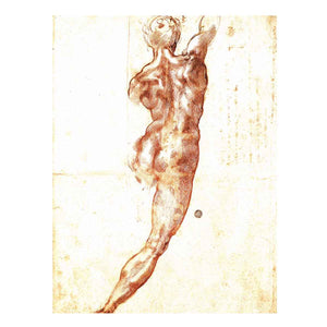 Study for a Nude 1504
