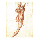 Study for a Nude By Michelangelo Buonarroti artwork preview