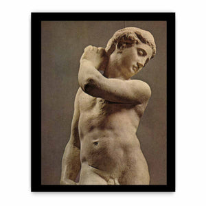 David-Apollo
