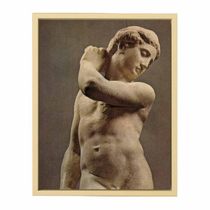 Michelangelo Buonarroti's David-Apollo