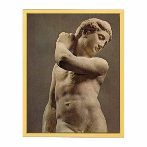 David-Apollo