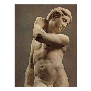 David-Apollo