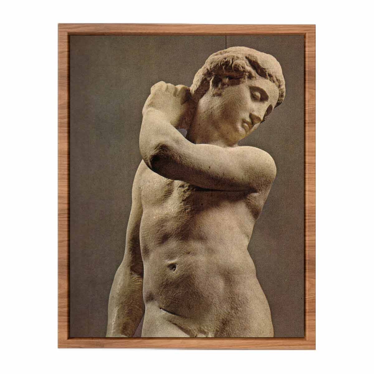 Michelangelo Buonarroti's David-Apollo