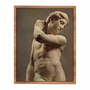 Michelangelo Buonarroti's David-Apollo
