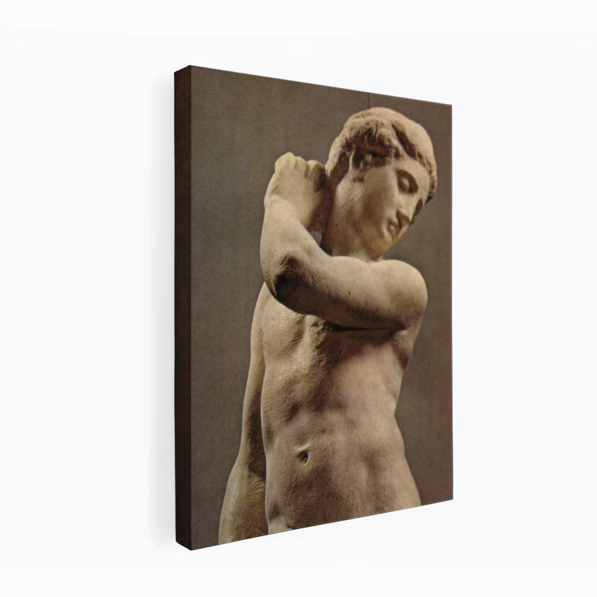 Michelangelo Buonarroti's David-Apollo