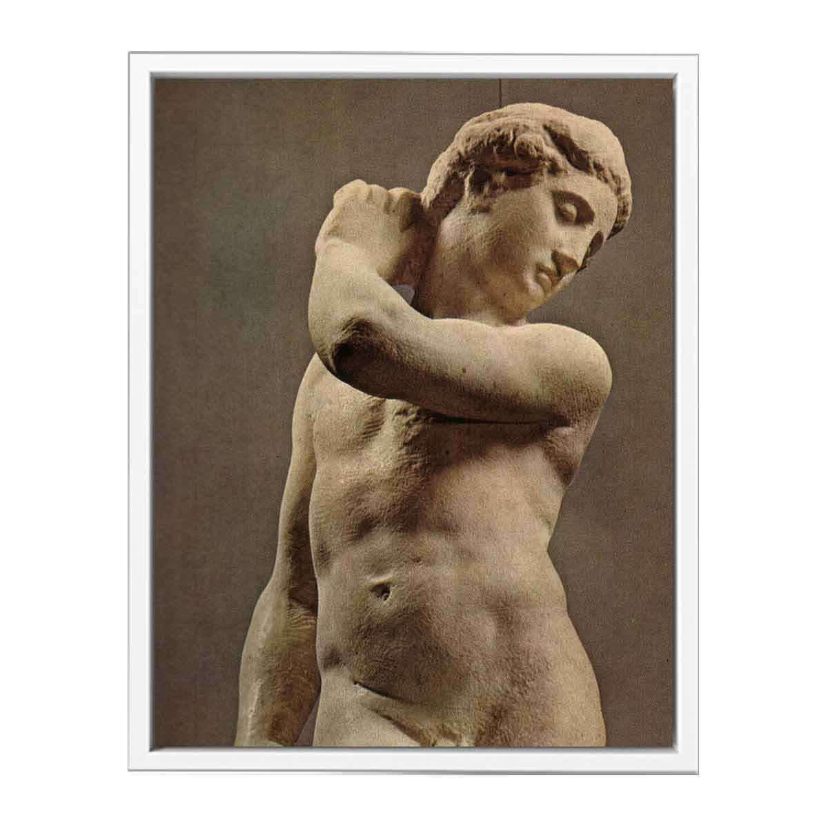 Michelangelo Buonarroti's David-Apollo