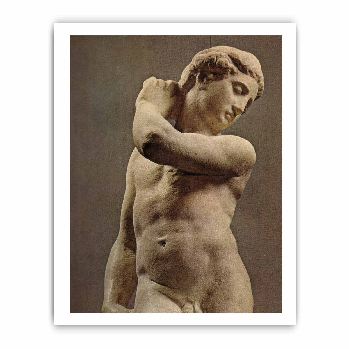 Michelangelo Buonarroti's David-Apollo