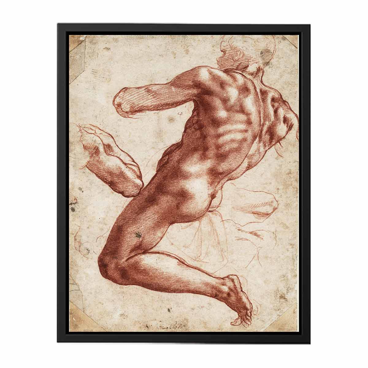 Study for an ignudo By Michelangelo Buonarroti