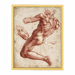 Study for an ignudo By Michelangelo Buonarroti