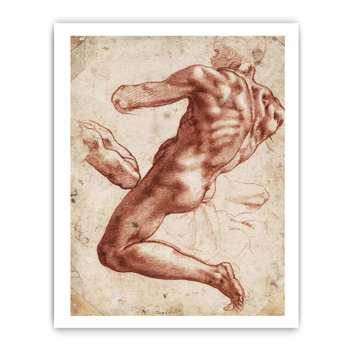 Study for an ignudo By Michelangelo Buonarroti