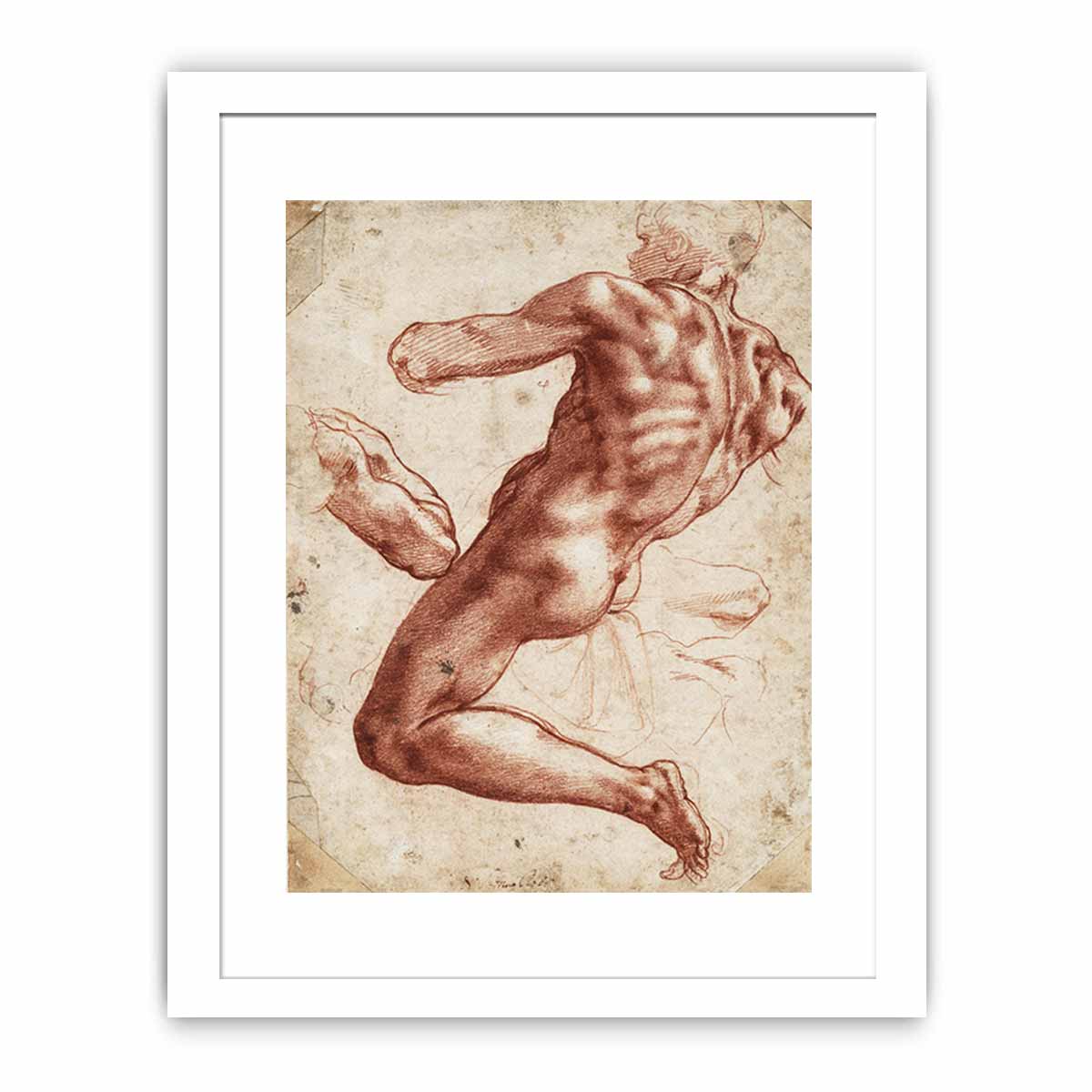 Study for an ignudo By Michelangelo Buonarroti