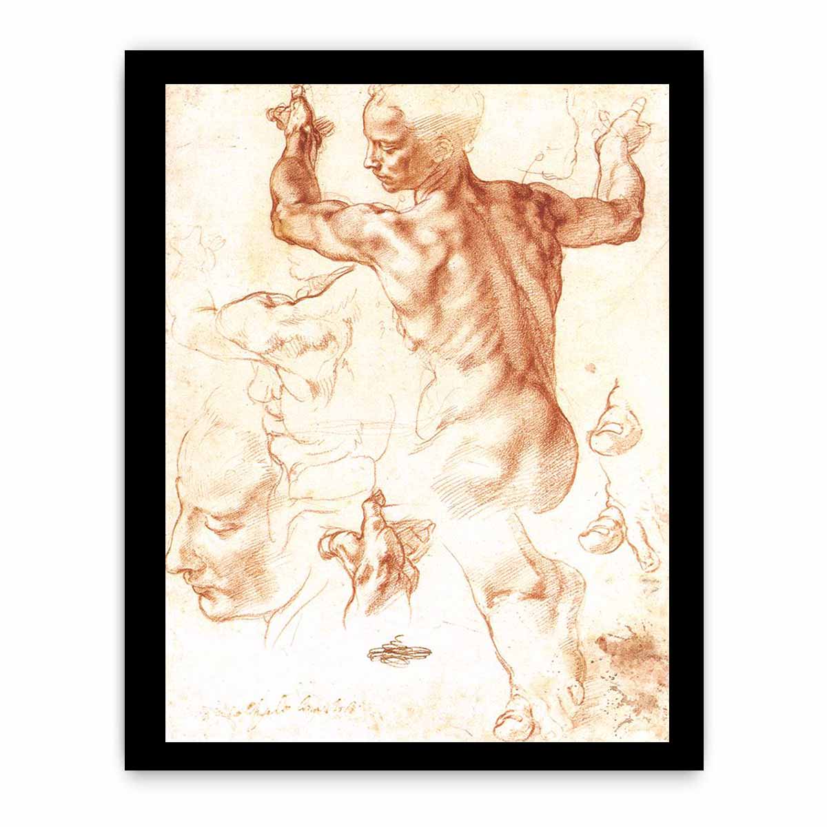 Study for the Libyan Sibyl By Michelangelo Buonarroti