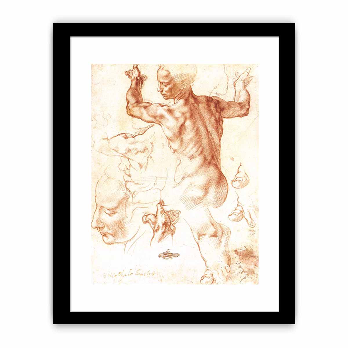 Study for the Libyan Sibyl By Michelangelo Buonarroti