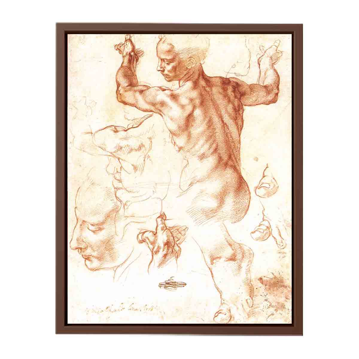 Study for the Libyan Sibyl By Michelangelo Buonarroti
