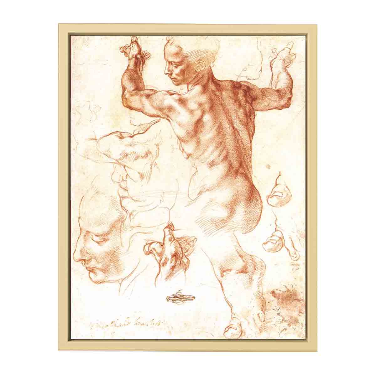 Study for the Libyan Sibyl By Michelangelo Buonarroti