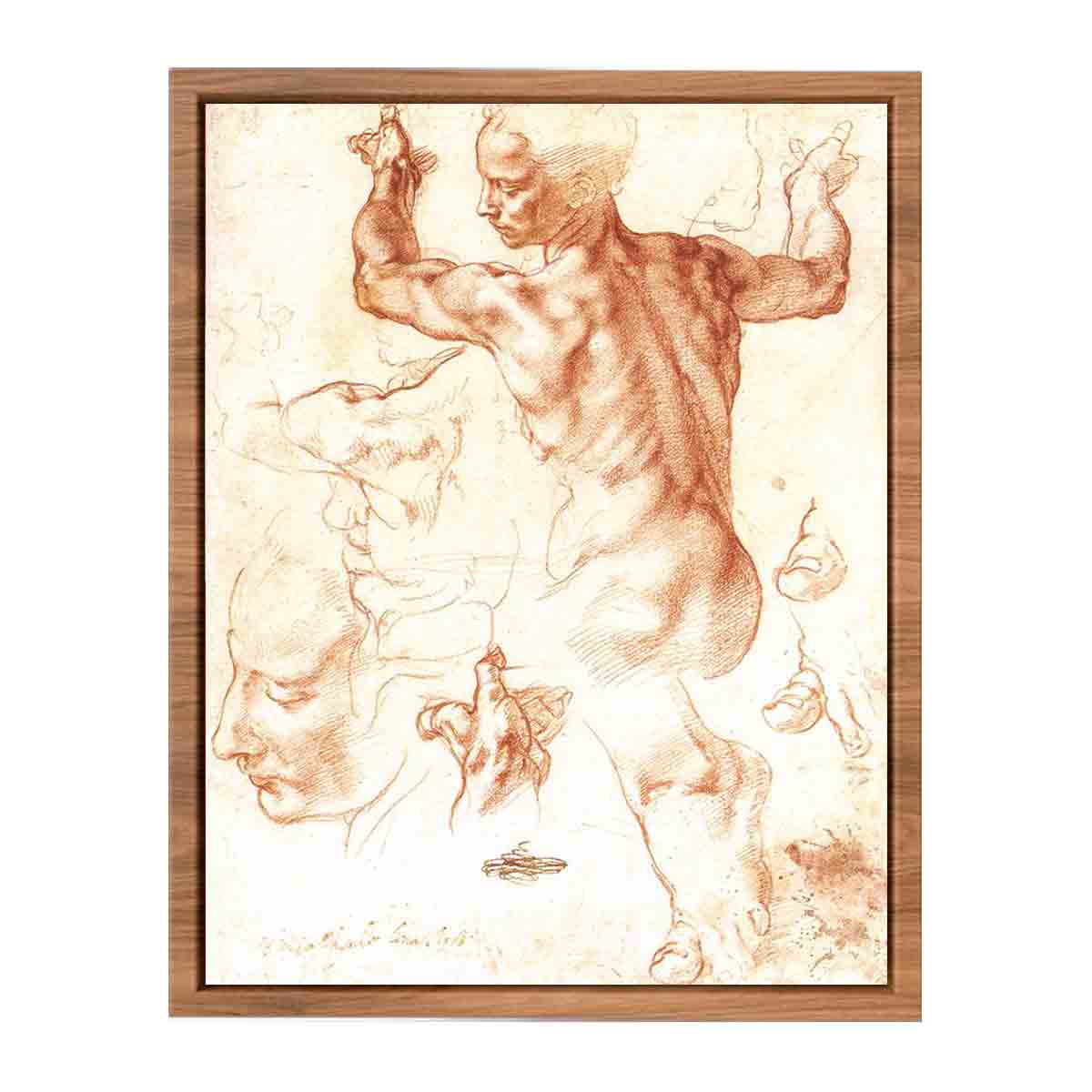 Study for the Libyan Sibyl By Michelangelo Buonarroti