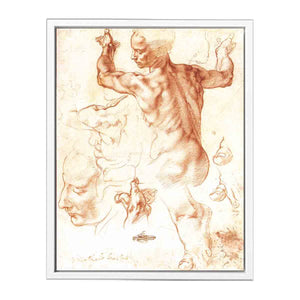 Study for the Libyan Sibyl By Michelangelo Buonarroti