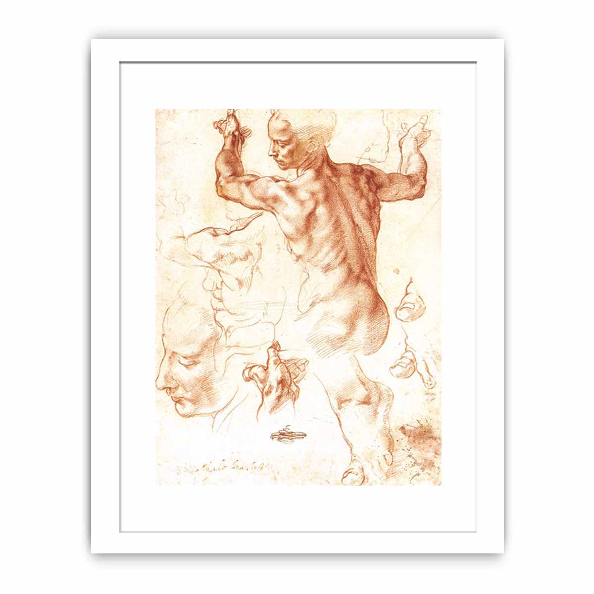 Study for the Libyan Sibyl By Michelangelo Buonarroti