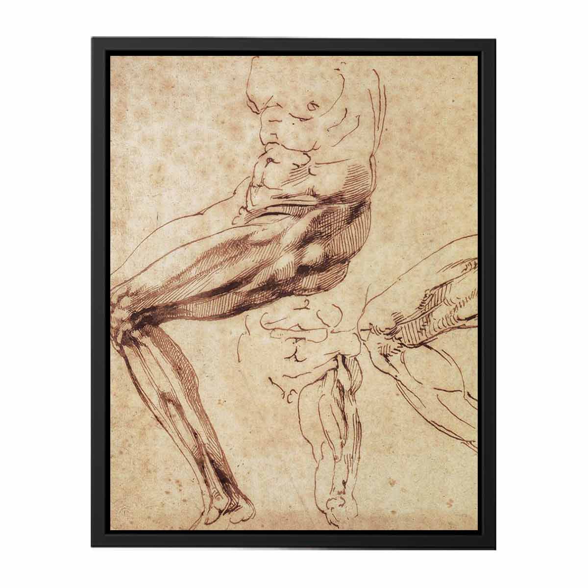 Three Studies of a Leg By Michelangelo Buonarroti