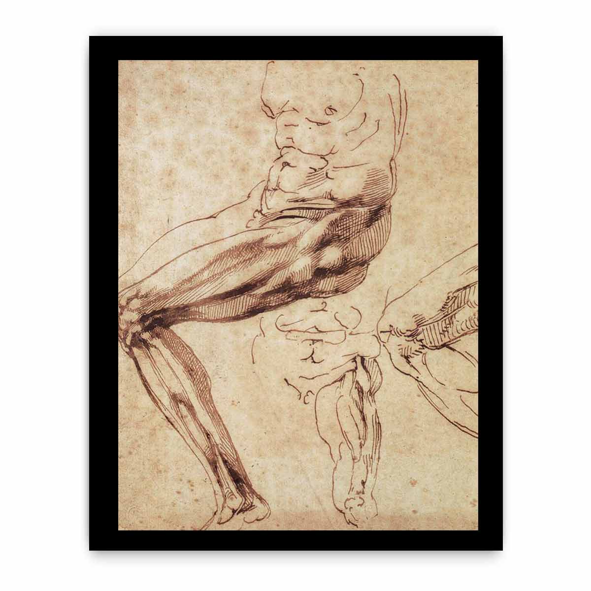 Three Studies of a Leg By Michelangelo Buonarroti