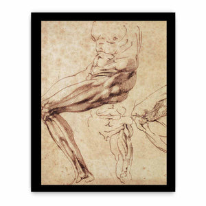Three Studies of a Leg By Michelangelo Buonarroti