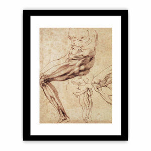 Three Studies of a Leg By Michelangelo Buonarroti