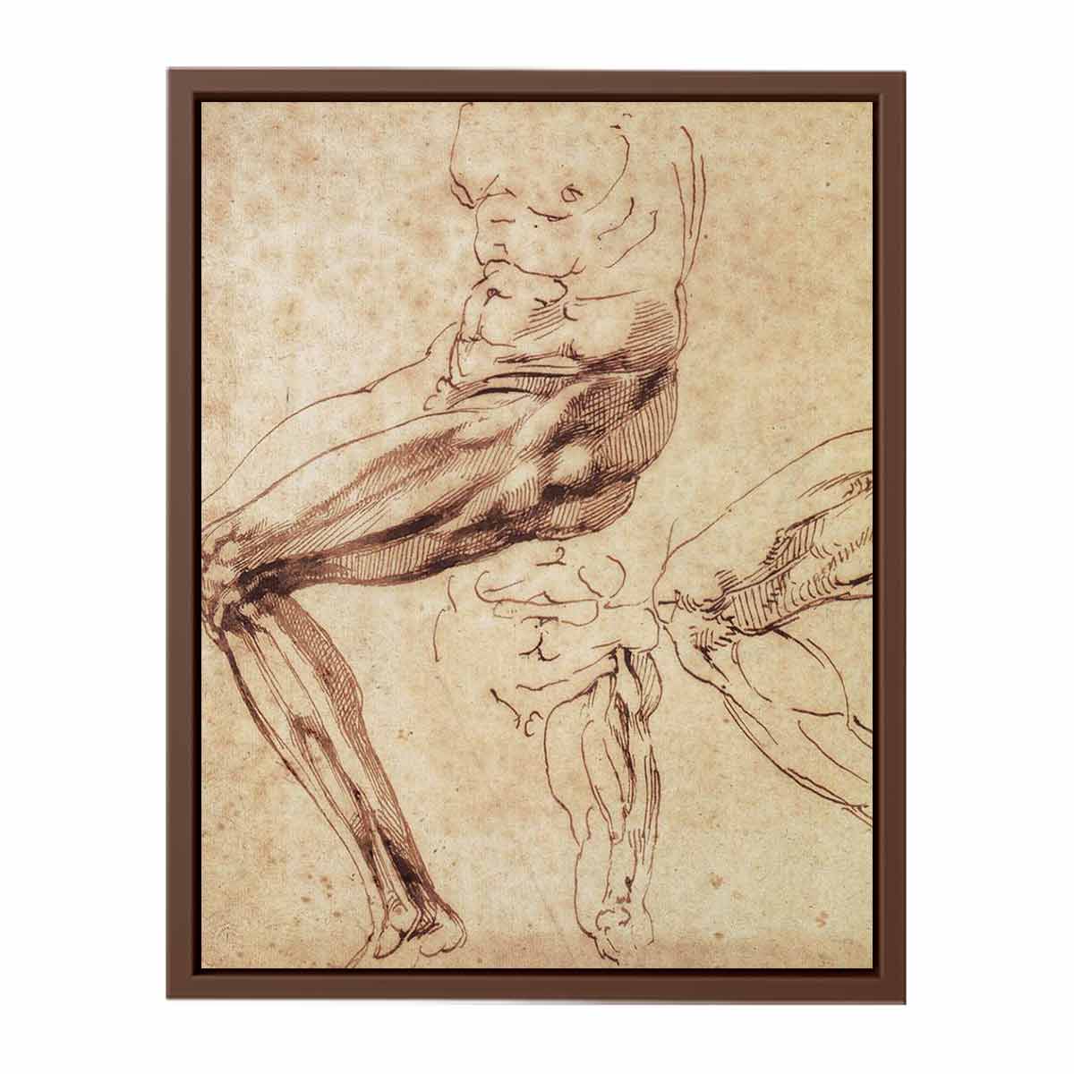 Three Studies of a Leg By Michelangelo Buonarroti
