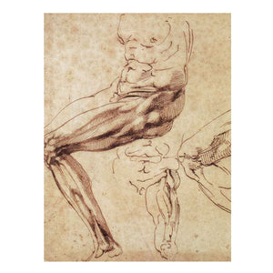 Three Studies of a Leg By Michelangelo Buonarroti