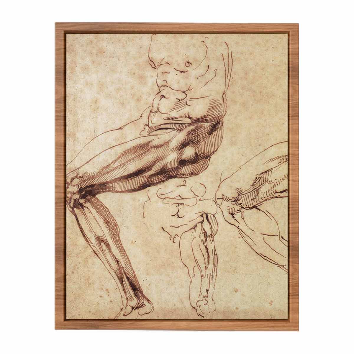 Three Studies of a Leg By Michelangelo Buonarroti