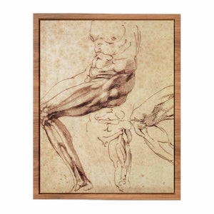 Three Studies of a Leg By Michelangelo Buonarroti