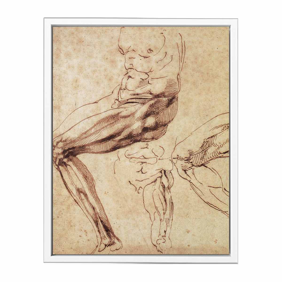 Three Studies of a Leg By Michelangelo Buonarroti