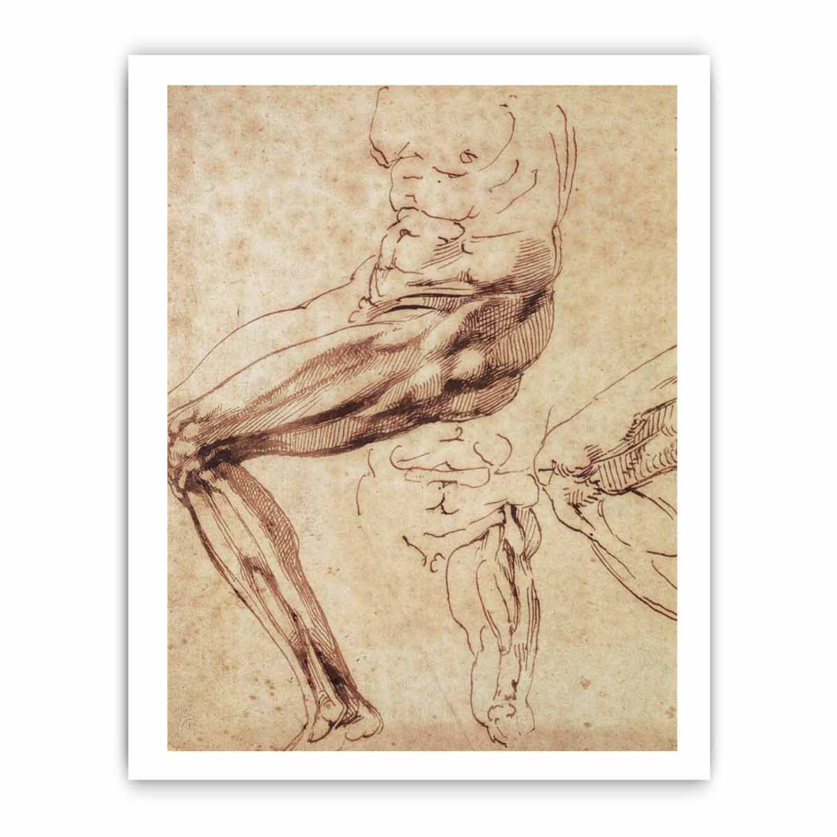 Three Studies of a Leg By Michelangelo Buonarroti