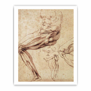 Three Studies of a Leg By Michelangelo Buonarroti