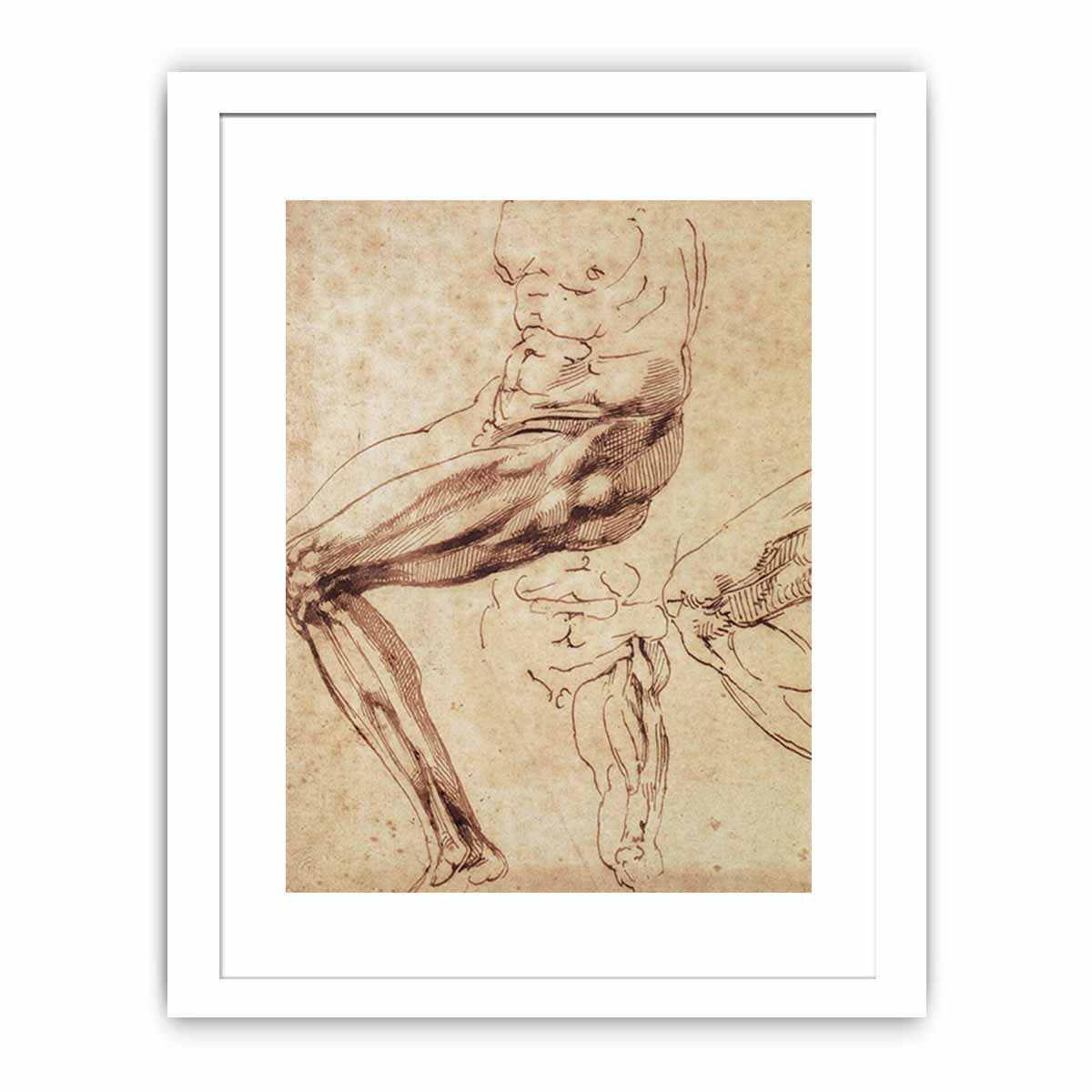Three Studies of a Leg By Michelangelo Buonarroti