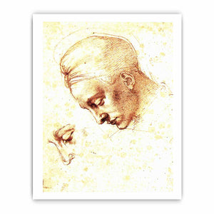 Study of a Head By Michelangelo Buonarroti