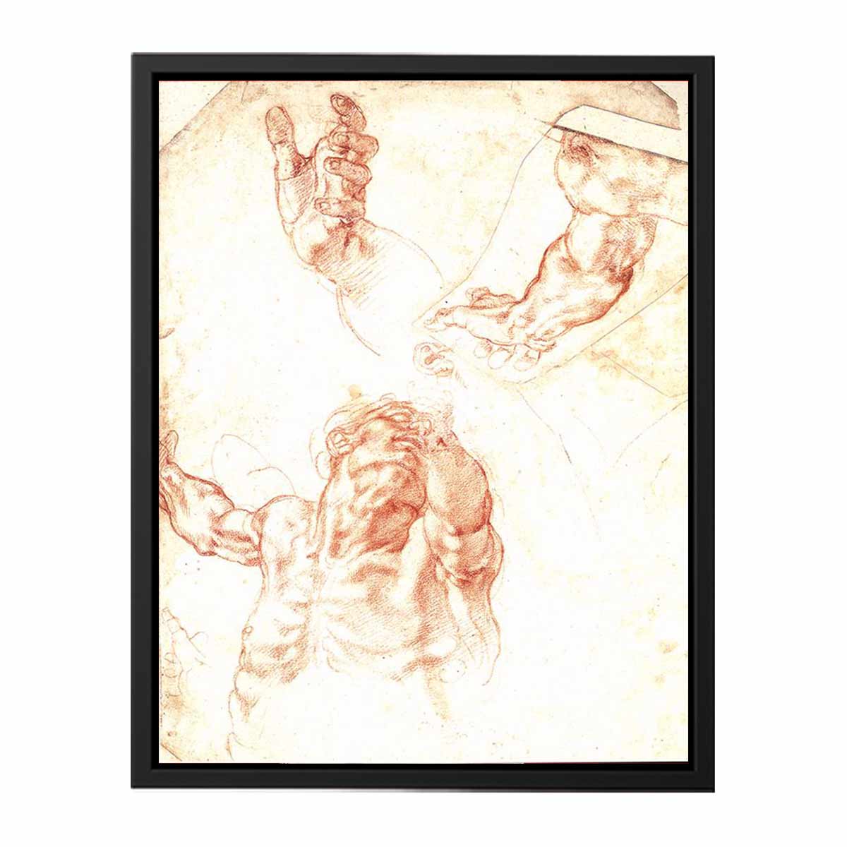 Study for Haman By Michelangelo Buonarroti