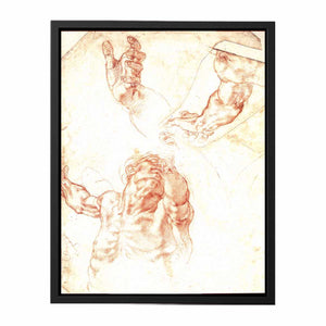 Study for Haman By Michelangelo Buonarroti