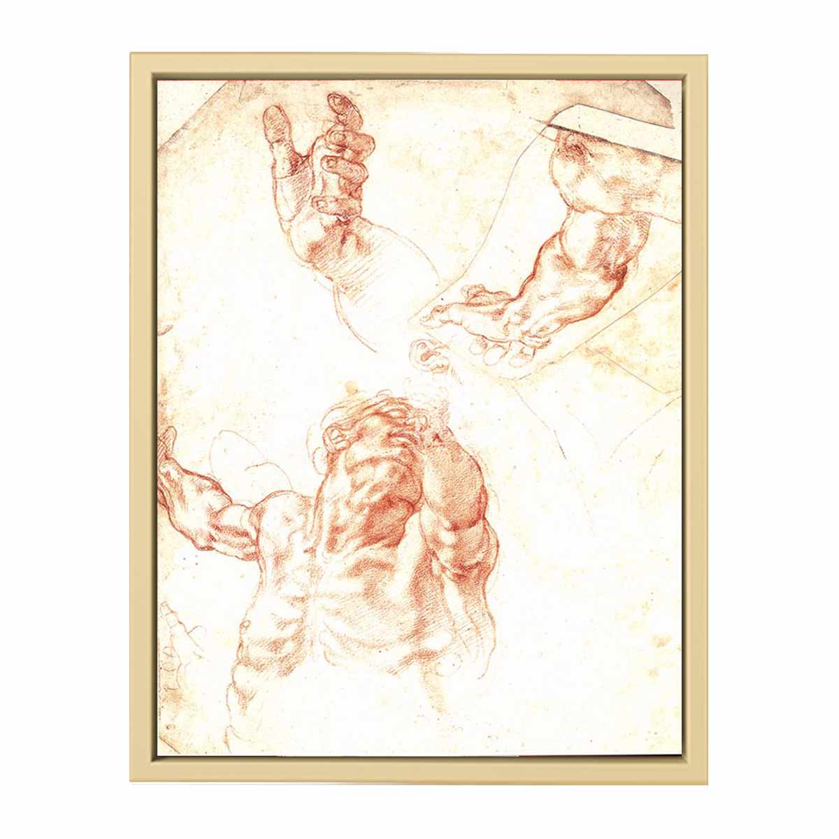 Study for Haman By Michelangelo Buonarroti