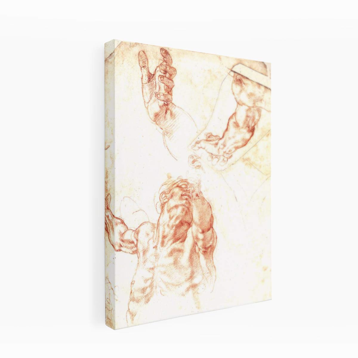 Study for Haman By Michelangelo Buonarroti