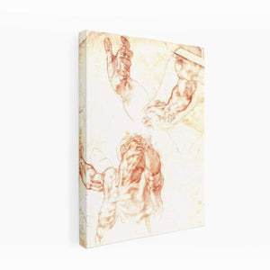 Study for Haman By Michelangelo Buonarroti