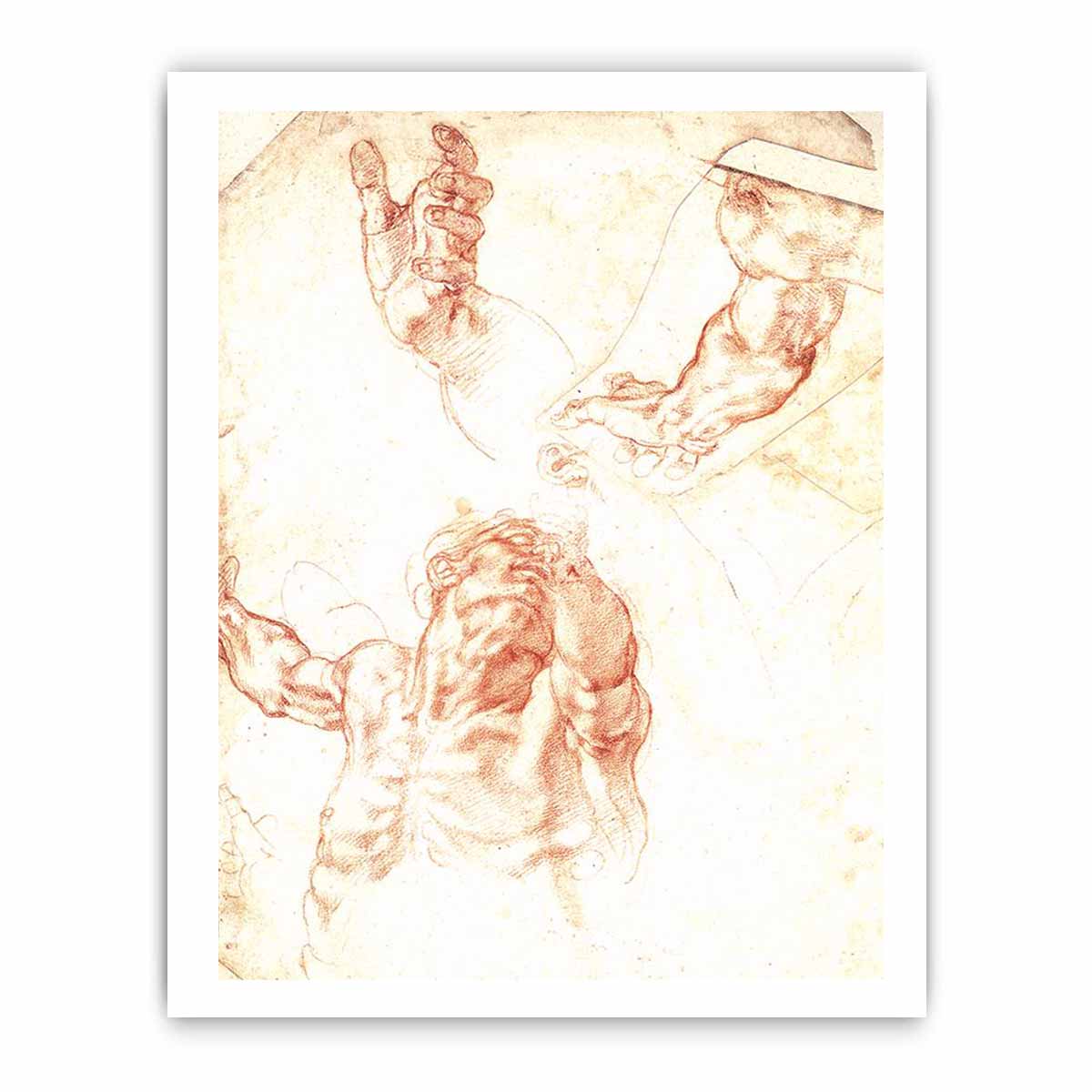 Study for Haman By Michelangelo Buonarroti